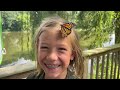 The Lifecycle of a Monarch Butterfly | Outdoor Adventure for Kids