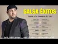 Grupo Niche, Jerry Rivera, Eddie Santiago, Maelo Ruiz - Salsa Romantica - Salsa Mix Para Bailar 2024
