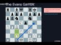 The Evans Gambit, many variations! Practice w/ me!