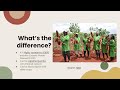 My very short presentation on GM Cassava