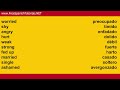 Spanish lesson: 50 Emotions / Feelings in Spanish tutorial. Learn Spanish with Pablo.