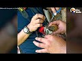 Guys Rescue A Woodpecker Tangled In A Fishing Net | The Dodo