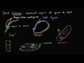 DNA cloning and recombinant DNA | Biomolecules | MCAT | Khan Academy