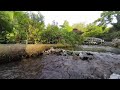 The sound of the river flowing in a beautiful garden cools the heart and mind, ASMR