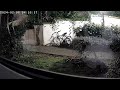 Orchard Court, Carlton, Nottingham Badger outside my window