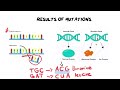 Mutations | Differences between Gene and chromosomal mutations