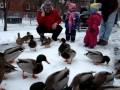 Hungry Ducks, Laughing Children