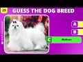 Guess the Dog Breed Quiz 🐶