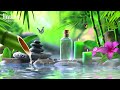 Relaxing Meditation Music, Insomnia, Stress Relief, Relaxing Music, Deep Sleeping Music, Water Sound