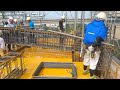 BIGGEST PILE FRAME | The Process of Making the Biggest Pile