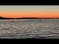Whale Family on Alki putting on a show at sunset