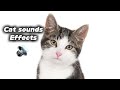 Cat Sound Effects (Meow) | NO COPYRIGHT
