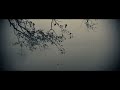 Schattenfrequenz - Kardioversion (Club Mix) Official Video