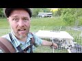 100 Meat Chickens Go To Pasture | 450 LBS of Food