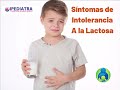 Síntomas de Intolerancia a la Lactosa
