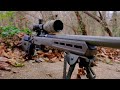 MDT FIELD STOCK: The Perfect Affordable Chassis/Stock?
