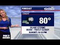 Tampa weather: Afternoon showers on Sunday