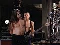 Red Hot Chili Peppers - Under the Bridge Live Canal Studios France 1992