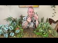 6 Trailing Plants For Plant Styling | Houseplant Tips & Tricks Ep. 33