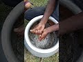 #fish counting #viral  #video