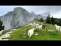 Ebenalp, Switzerland 4K - Breathtaking Nature in 4K UHD, Scenic Relaxation Film With Relaxing Music