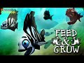 TÔI TIẾN HÓA THÀNH SIÊU CÁ MẬP | Feed and Grow : Fish | GNDTT