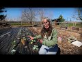 Proof Gardening Makes You Happy | Spring Planting