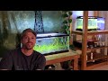 Aquarium Fertilizer Basics | Planted Tank Dosing