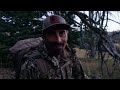 Chasing Dark Timber Bulls! Montana Elk Bow Hunt | Eastmans' Beyond the Grid
