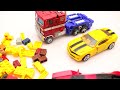 Different Hello Carbot vs Tobot Robot Adventure - Rescue BUMBLEBEE Transformers Rise of Beasts Movie