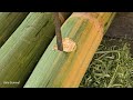 Bamboo Trees From Nature: Make Bamboo Cupboard Contain Bowl - SOLO SURVIVAl
