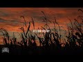 A SONG FOR YOU (HEARTLAND VERSION) - Kaleb Scherer (Official Lyric Video)