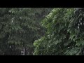 Rain Free stock Footage