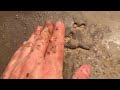 HAVE YOU EVER SEEN THIS? Dirt That Repels Water? (Hydrophobic Soil).