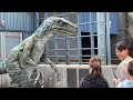 Raptor Encounter! • Universal Studios Hollywood • 2023