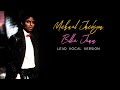 Michael Jackson - Billie Jean (Lead Vocal Version)
