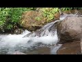Footage sungai alam liar - pemandangan indah - suara alam - no copyright