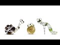 Hilarious Animated Fight: Snail vs. Caterpillar #funny #cute #cartoon #snail #fight