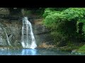 Soothing Rainforest Waterfall Sound & Ambiance | Relaxation, Meditation & Sleeping Sounds  | 8 Hours