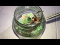Tarantula Feeding Video #27 ~ GOOD START !!!