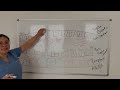 Sense strand Vs Antisense strand in DNA