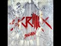 Skrillex - BANGARANG vs Amy Kuney - Sway (Butch Clancy Remix) Dj Smiles mashup bootleg