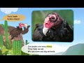 10 Amazing Birds on Earth | Owl, Heron, Falcon, Flamingo, Penguin, Parrot, Vulture, Turkey, and more