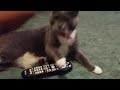 Bootsie's remote