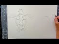 Let's Sketch  a Sea Turtle!