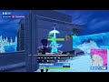 Fortnite Win (12 kills)