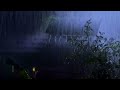 Meditation Music of Rain - Gentle Rainfall and Heavy Thunder on Metal Roof Sounds for Healing Soul
