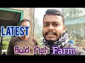 Aquarium fishes price in Kolkata | Top 5 goldfish Farm in Kolkata , Howrah