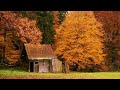 Relaxing Sleep Music, Meditation Music, Deep Sleep Music, Calm Music, Study, Sleeping Music