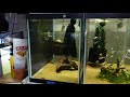 Massive Change to the Fish Room: Time to start over!